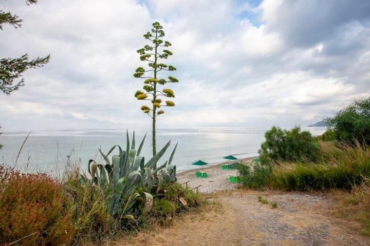 Mola Kaliva Sea View, 100M From The Beach! Экстерьер фото